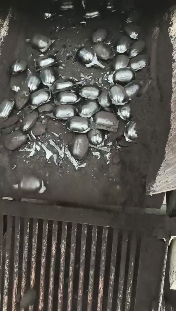 ɽ����ͬ�͑����ҹ�˾�M(j��n)�л���̿�ɷۉ���ԇ�(y��n)